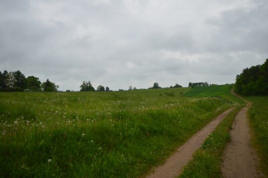 Namų valdos sklypai Radžiūnų k. Alytaus rajone