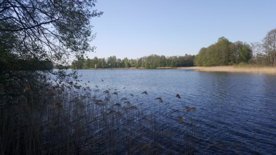 Sklypas su Daugų (Didžiulio ež.) ežero pakrante…