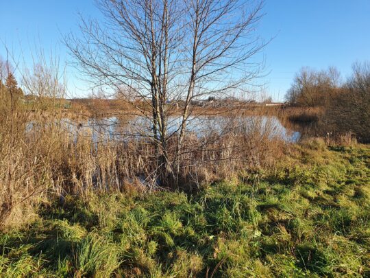 Namų valdos sklypai 0,27 ha ir 0,28 ha