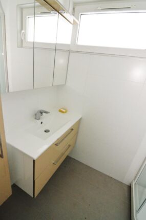 Du gyvenamieji namai šalia Vijūnėlės tvenkinio Druskininkuose