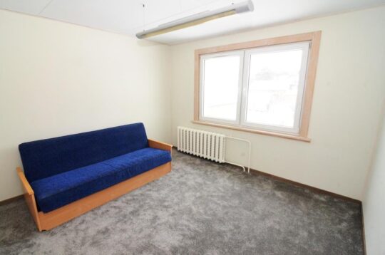 Du gyvenamieji namai šalia Vijūnėlės tvenkinio Druskininkuose