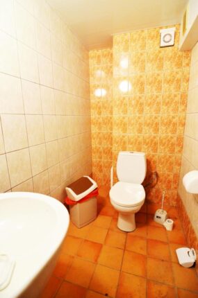 Du gyvenamieji namai šalia Vijūnėlės tvenkinio Druskininkuose