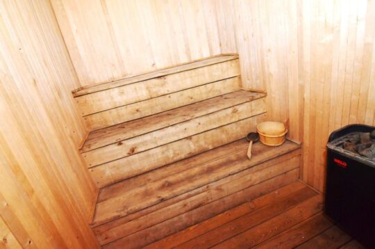 Du gyvenamieji namai šalia Vijūnėlės tvenkinio Druskininkuose