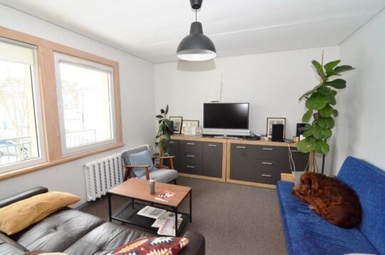 Du gyvenamieji namai šalia Vijūnėlės tvenkinio Druskininkuose