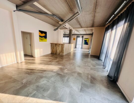 Modernios, naujos, komercinės patalpos Alytaus centre Jūsų verslui…